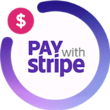 Pay With Stripe Logo Icon